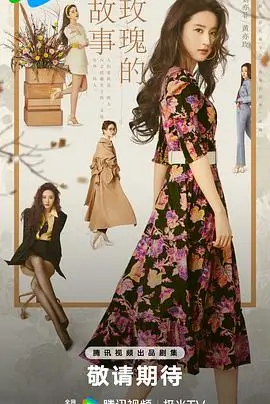 无忧影院快手短剧老宅门里的女掌柜海报